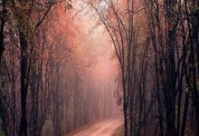 生死攸关：关键时刻的决定性一击，胜负在此一役