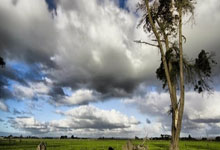 热刺球员表现神勇，击退对手，点燃全场激情