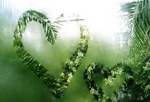 胜负之间：精英球员将在比赛中决定胜者与败者